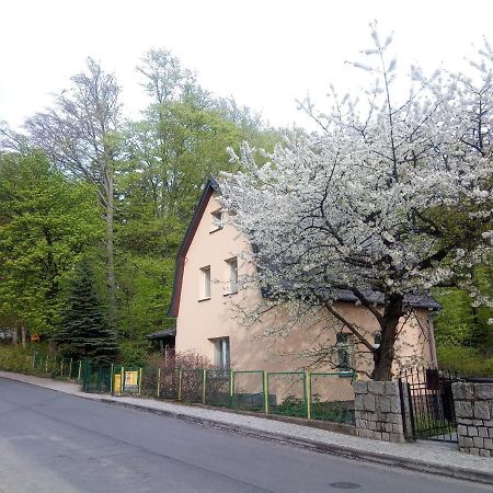 Willa Rozalia Szklarska Poręba Exteriör bild